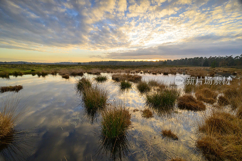 冬天黄昏时分，在Veluwe, Renderklippen沼地上的湖